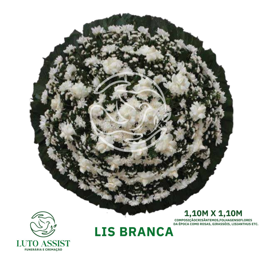 Coroa Lis Branca