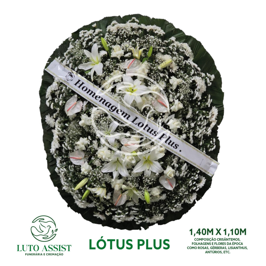 Coroa Lotus plus