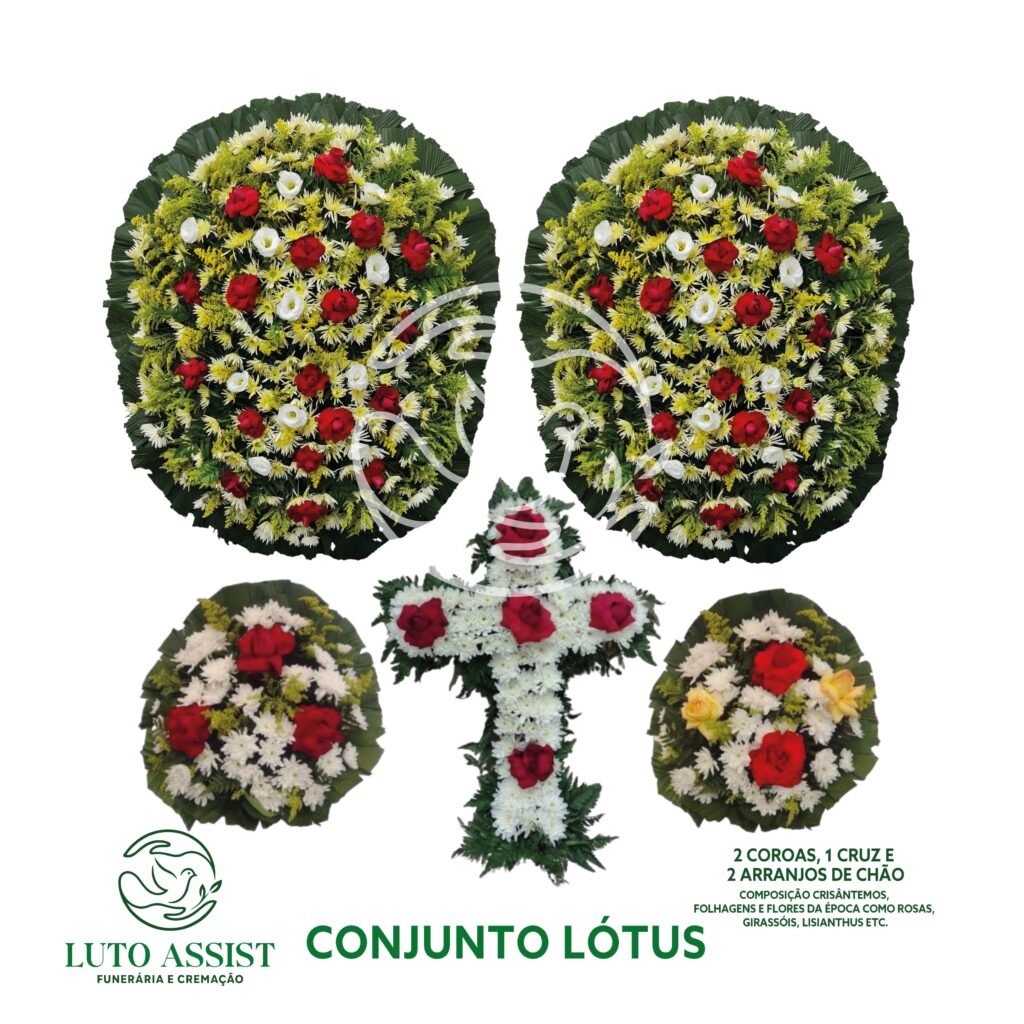 Conjunto Lótus