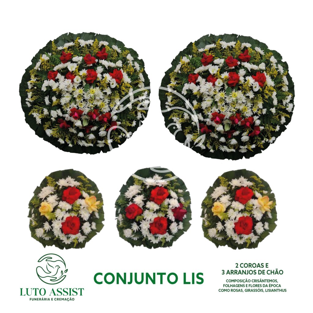 Conjunto Lis