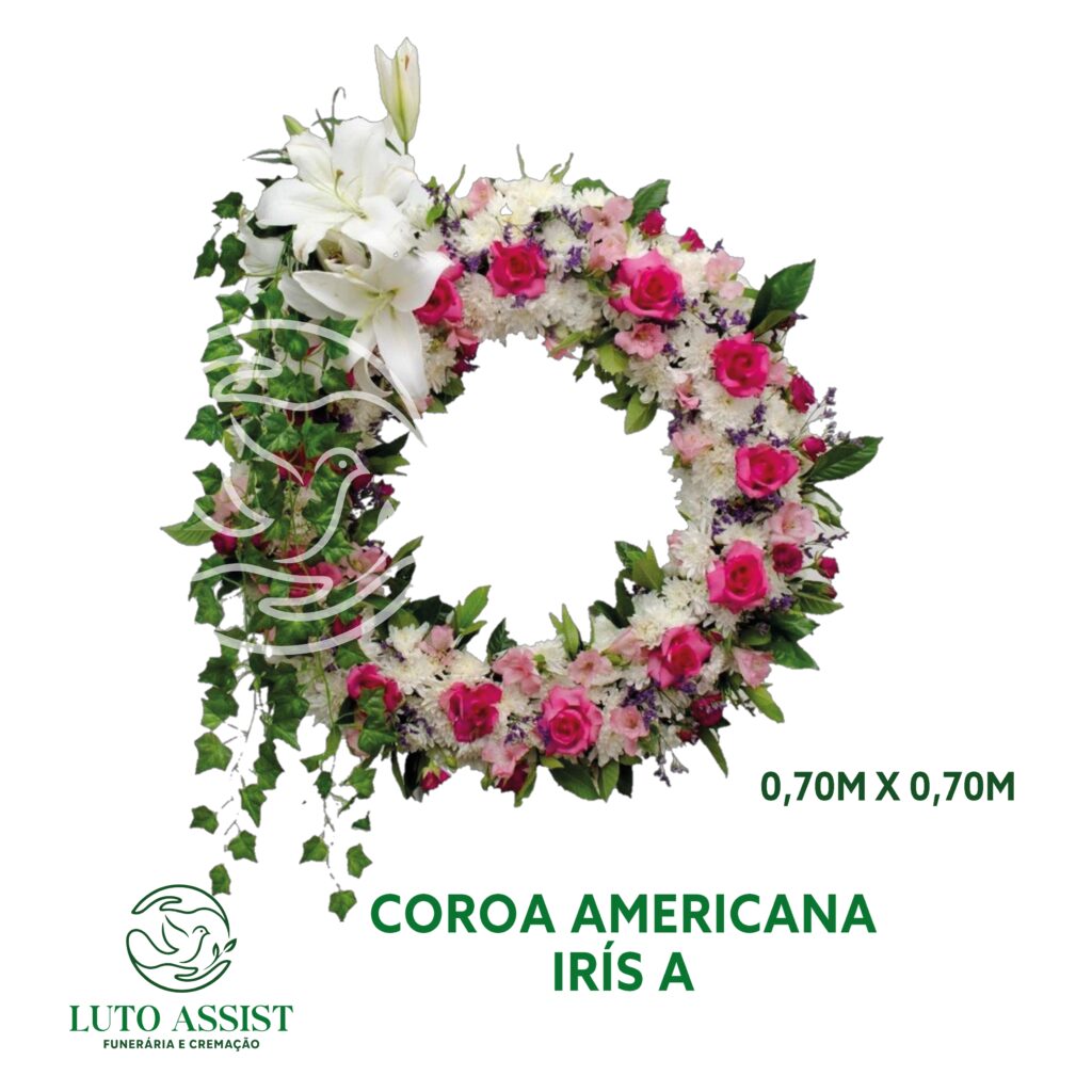 Coroa Americana Irís A
