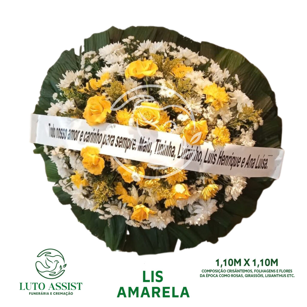 Lis Amarela