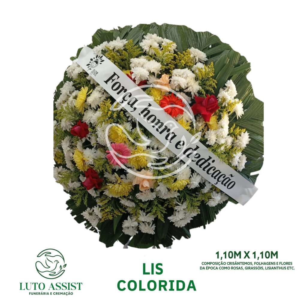 Lis Colorida